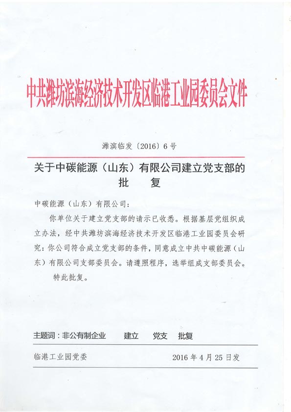 合資企業(yè)也抓黨建，中碳能源（山東）有限公司成立黨支部