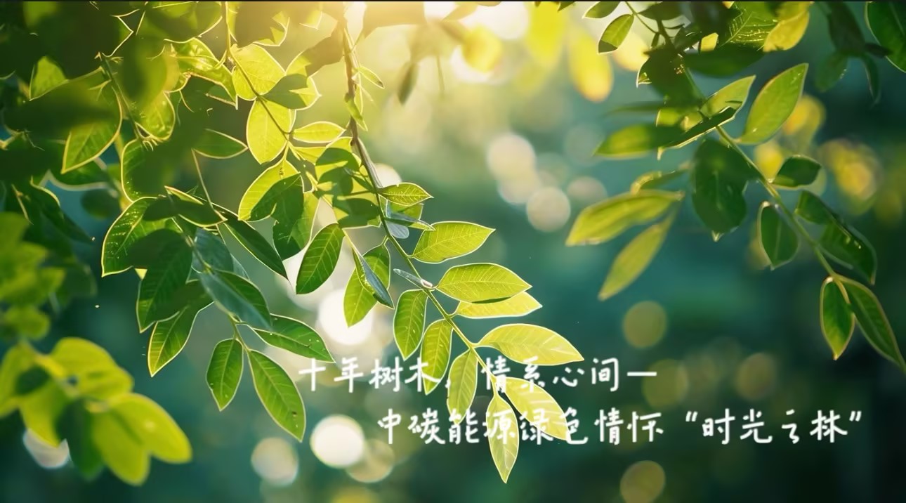 十年樹(shù)木，情系心間—中碳能源綠色情懷“時(shí)光之林”